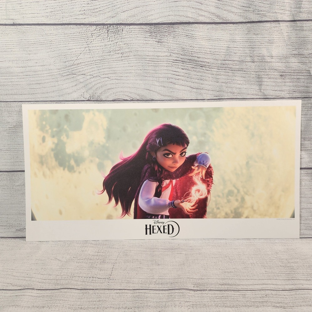 Disney Hexed Art Print Lithograph Promotional Movie Poster 17x7.5 Magic Fantasy